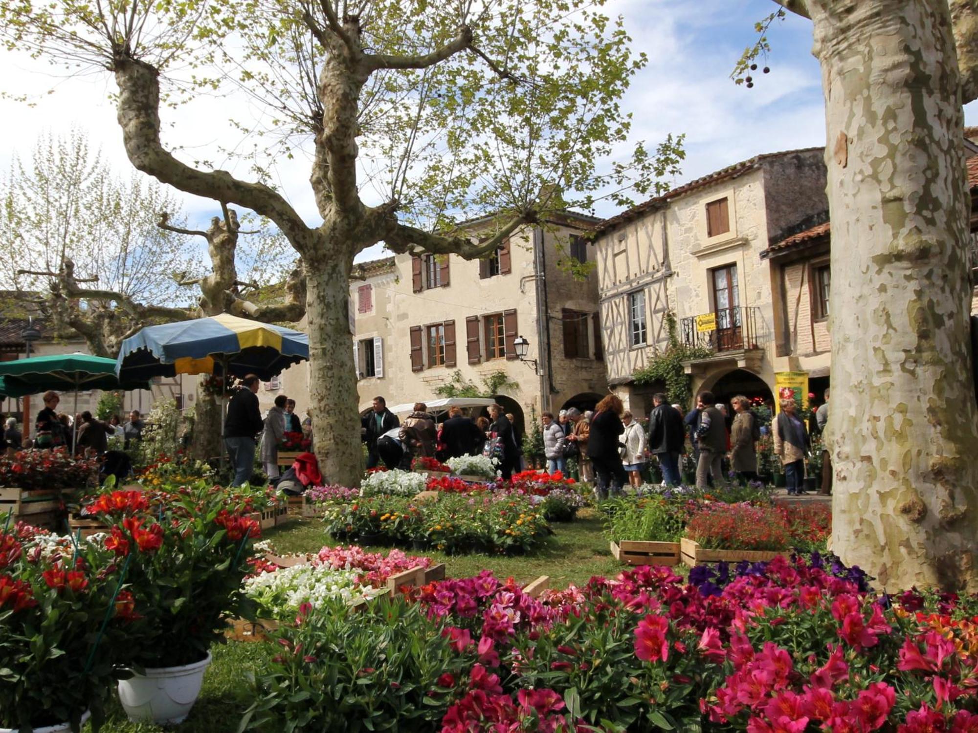 Maison La Cloche Fourcès エクステリア 写真